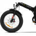 Bicicleta eléctrica Adultos Unisex 