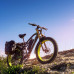  Bicicleta eléctrica para Adultos CM-900 1000W 48V Bicicleta eléctrica sin escobillas, batería de Litio extraíble 17Ah Freno hidráulico de Bicicleta de montaña 