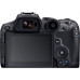 CANON EOS R7 + RF-S 18-150mm F3.5-6.3 IS STM + Bague 