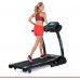 CINTA DE CORRER ALPINE IV 
