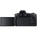  Canon EOS R - Cámara compacta de 30.3 MP (Wi-Fi, Bluetooth, Sensor Dual Pixel CMOS AF, ISO, 4K) Negro - Kit con Cuerpo y Mount Adapter EF-EOS R 