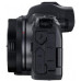  Canon EOS R - Cámara compacta de 30.3 MP (Wi-Fi, Bluetooth, Sensor Dual Pixel CMOS AF, ISO, 4K) Negro - Kit con Cuerpo y Mount Adapter EF-EOS R 