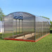 Invernadero Jardín Ruby Pro 3x4 Metros 12 M² Policarbonato Transparente 4mm, Marco Acero, Varios Modelos y Tamaños, Ideal Huerto Plantas y Cultivos 