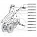 Motocultor Gasolina ZEPPELIN 9HP Motocultor Gasolina ZEPPELIN 9HP