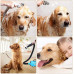  Secador de Pelo para Mascotas de 2200 W, máquina de soplado de Agua, máquina de soplado de Pelo para Perros, Adecuada para Perros y Gatos Grandes y medianos, Velocidad Continua antiescaldami 