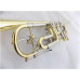Trompeta Profesional BB con Tubo De Ajuste De Cupronickel  
